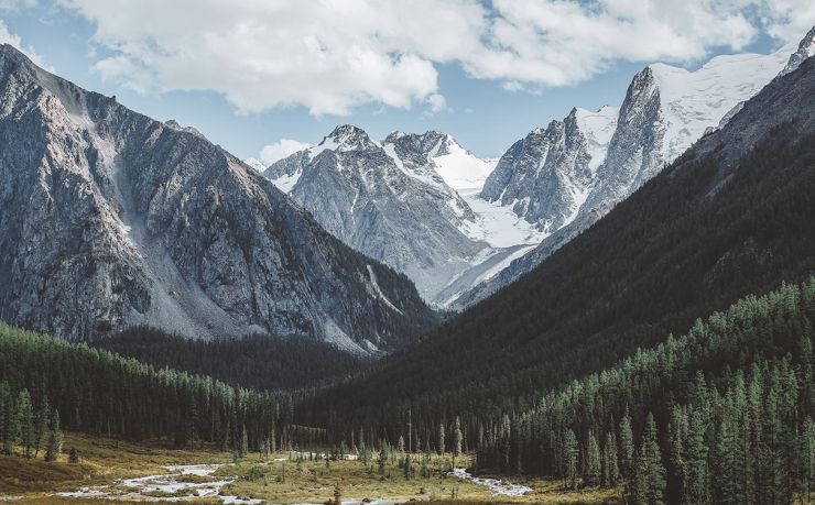 螺纹钢期货行情最新：供需博弈下的价格走势分析